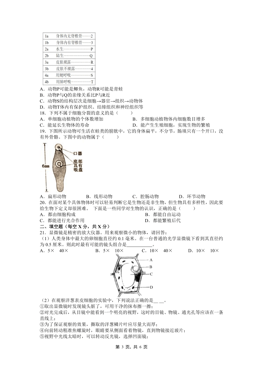 2018浙教版七上科学单元检测卷 第2章 观察生物