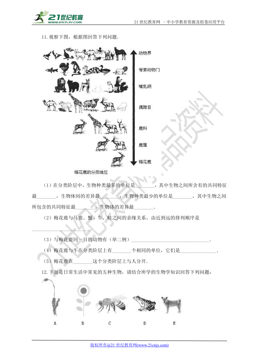 第四章第二节 《生物的分类单位》（练习）