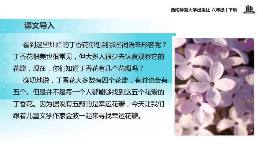 寻找幸运花瓣   课件(共21张PPT)