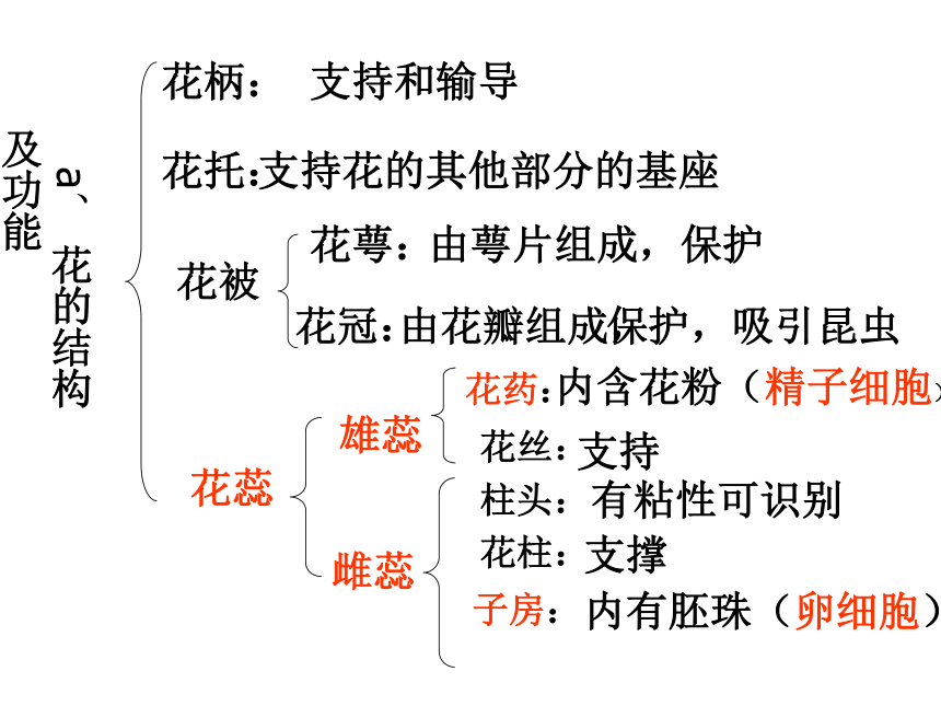 七单元 生物圈中生命的延续和发展（第一部分：1-2章） 复习课课件 (共69张PPT)