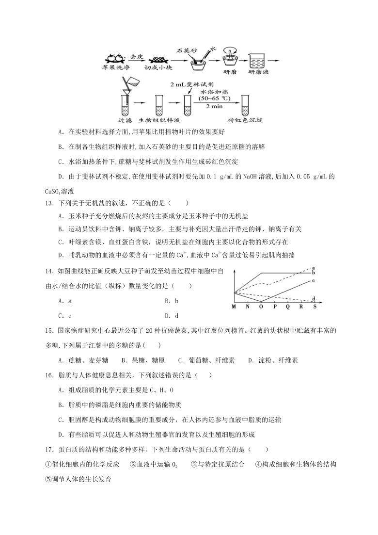 海南省华中师大琼中附中2020-2021学年高一上学期期中考试生物试题 含答案解析