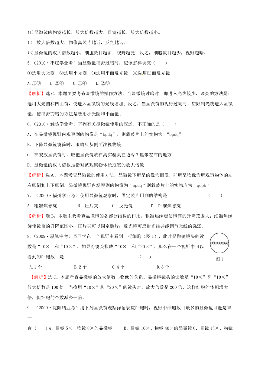 2008-2011全国各地中考生物分类详解中考题库二 严整的生命结构