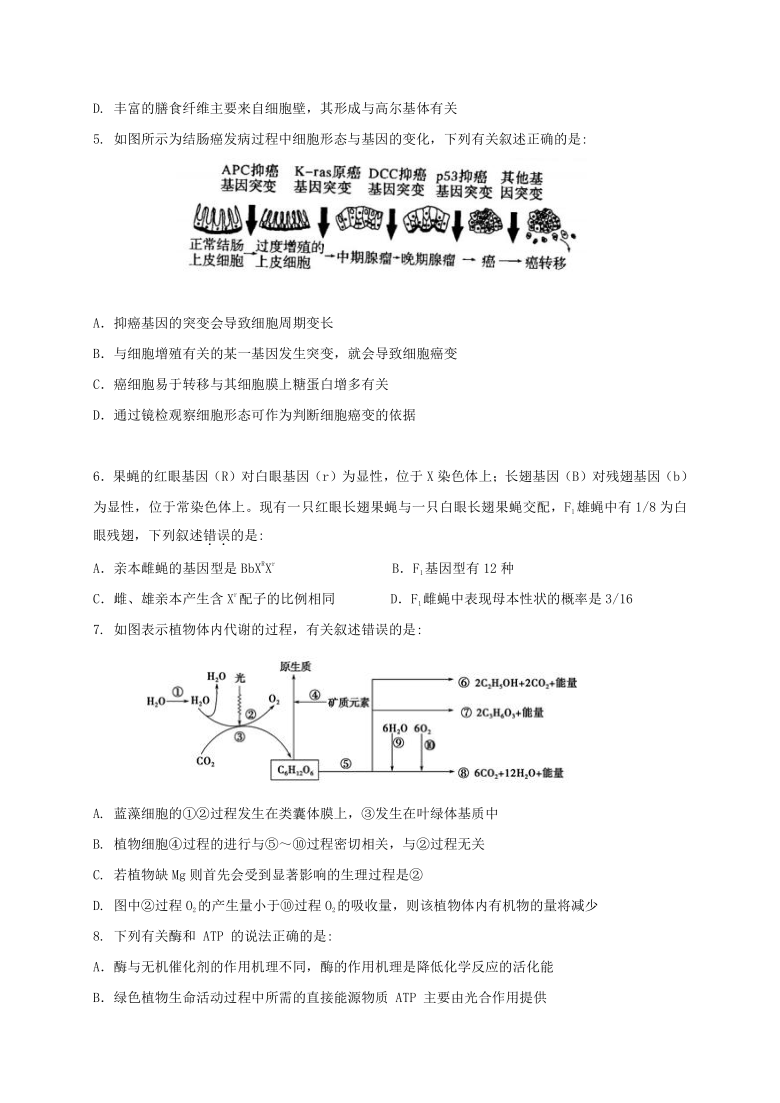 江苏省淮安市高中校协作体2021届高三上学期期中考试生物试题  含答案