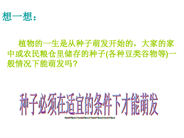 第四节种子的萌发（第一课时）种子萌发的条件 课件