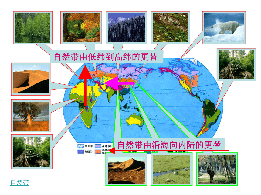 2012高一地理教学课件：5.2.2 自然地理环境的差异性
