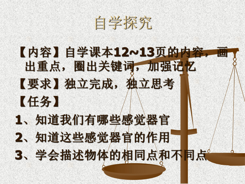 科学三年级上青岛版2.4怎样认识物体课件（15张）1