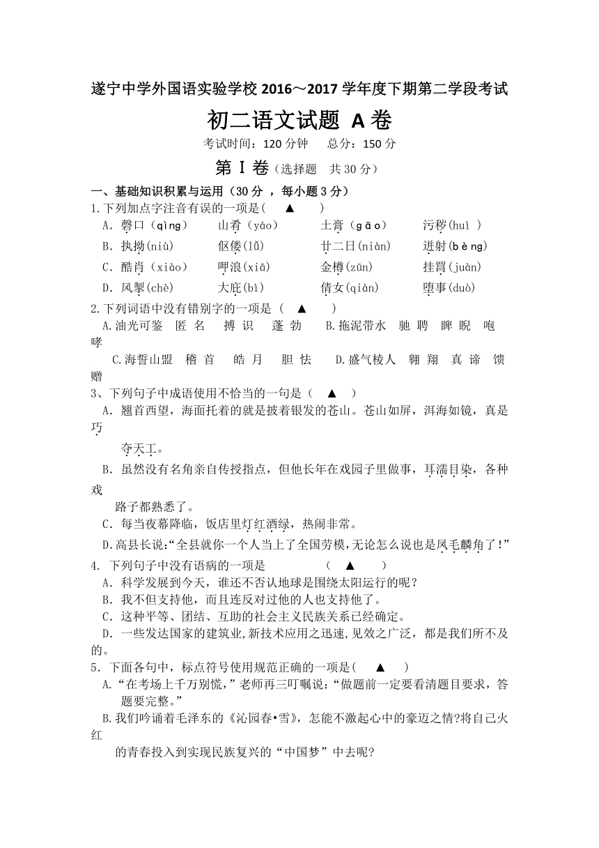 四川省遂宁中学外国语实验学校2016-2017学年八年级下学期第二学段考试语文A卷试卷