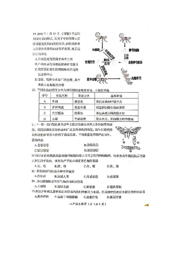 河南省洛阳市2018-2019学年八年级第二学期期末考试生物试题（扫描版）