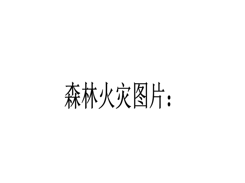 森林防火 文明祭祀----森林防火主题班会课件