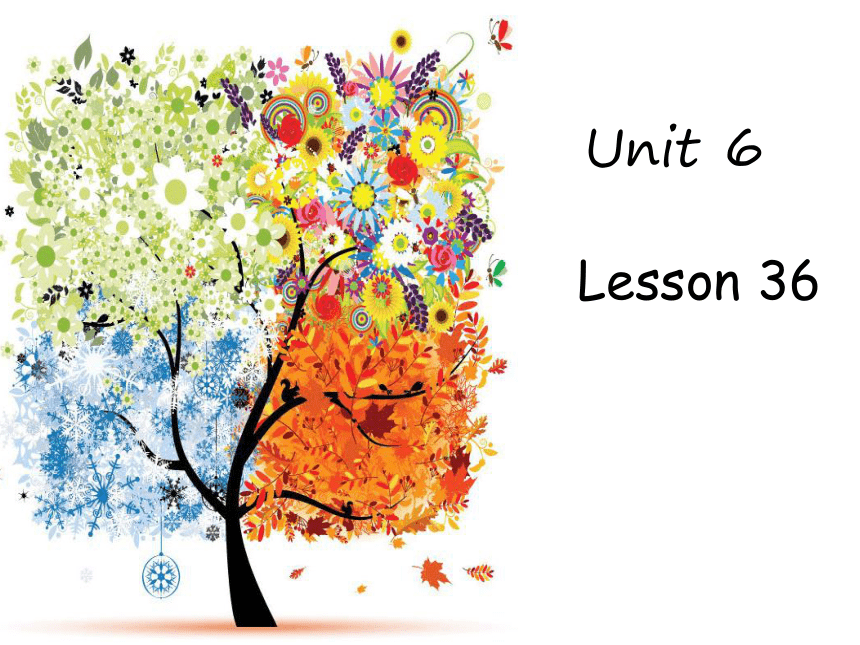 Unit 6 There are four seasons in a year Lesson 36 课件