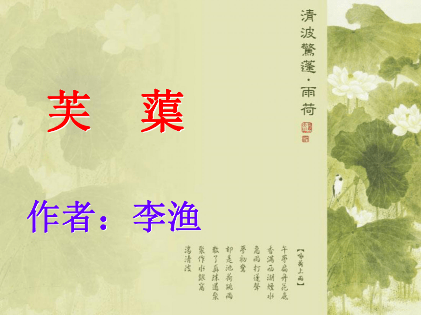 芙蕖课件