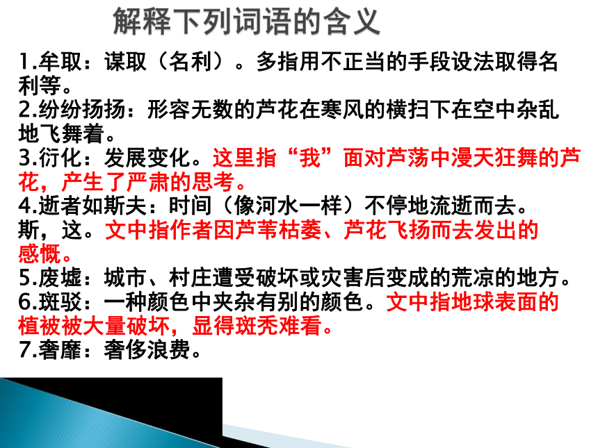 2015——2016上海教育出版社语文八年级上册第四单元课件：第13课《大芦荡_你还在守望吗？》（共19张PPT）