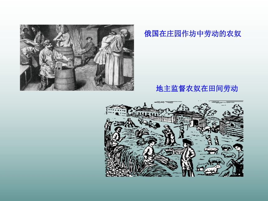 第16课 俄国农奴制改革和日本明治维新 课件 岳麓版（共50张PPT）
