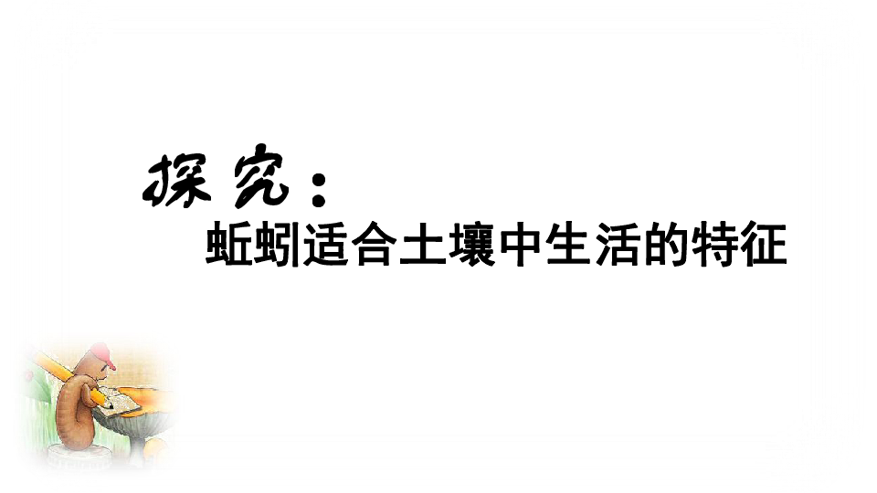 苏科版七下生物 13.1 土壤里的小动物 课件（15张PPT）