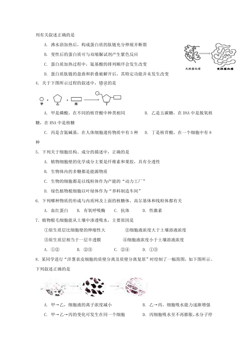 广东省深圳市耀华实验学校2017-2018学年高一上学期期末考试生物试题