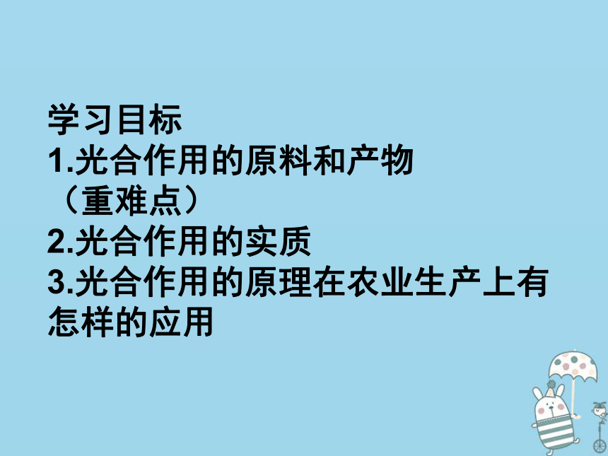 3.5.1光合作用吸收二氧化碳释放氧气课件（12张PPT）