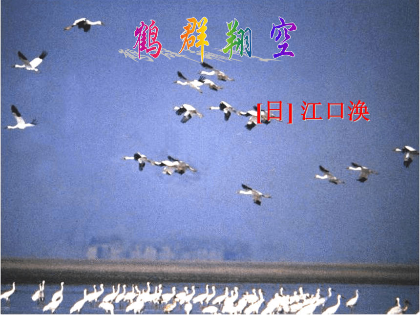四川省盐亭县城关初级中学七年级语文下册4 鹤群课件2 语文版