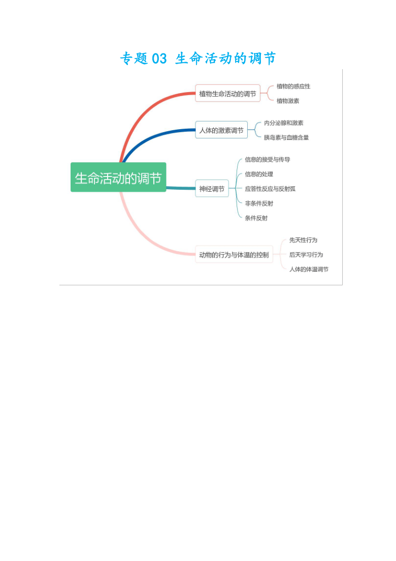 2021浙江中考科学生物地理部分知识点总结 专题03 生命活动的调节