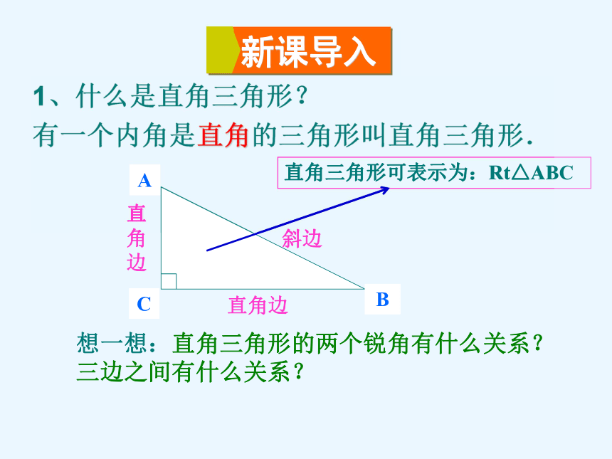 华东师大版数学九年级上册课件：24.2直角三角形的性质（共16张PPT）