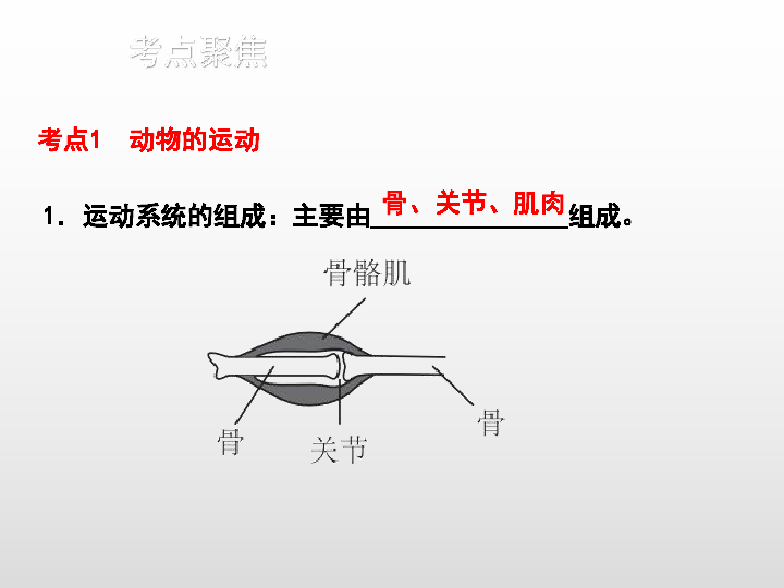 2020版中考生物二轮复习（江西专用）课件 六、动物的运动和行为（35张ppt）