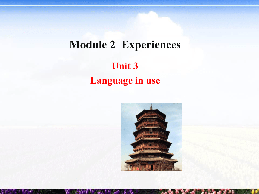 八年级下>Module 2  Experiences >Unit 3  Language in use