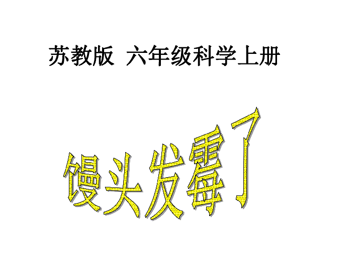 苏教版六年级上册科学课件 1.3 馒头发霉了 (共30张PPT)