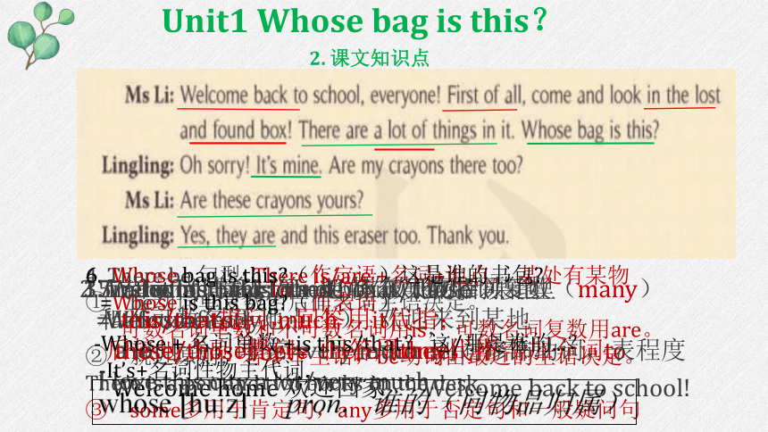 Module 1 Lost and found Unit 1 Whose bag is this?课文知识点 课件(共11张PPT，无音频)