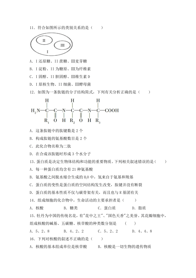 内蒙古自治区乌兰察布市集宁区2020-2021学年高一上学期期中考试生物试题 Word版含答案