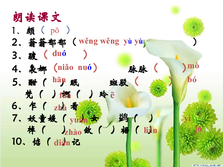 人教新课标版高中语文必修二第一课《荷塘月色》课件（共40张ppt）