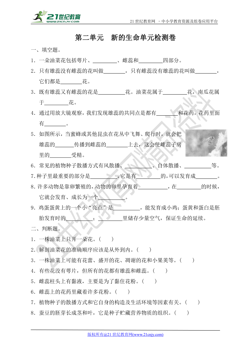 第二单元  新的生命单元检测卷（含答案）