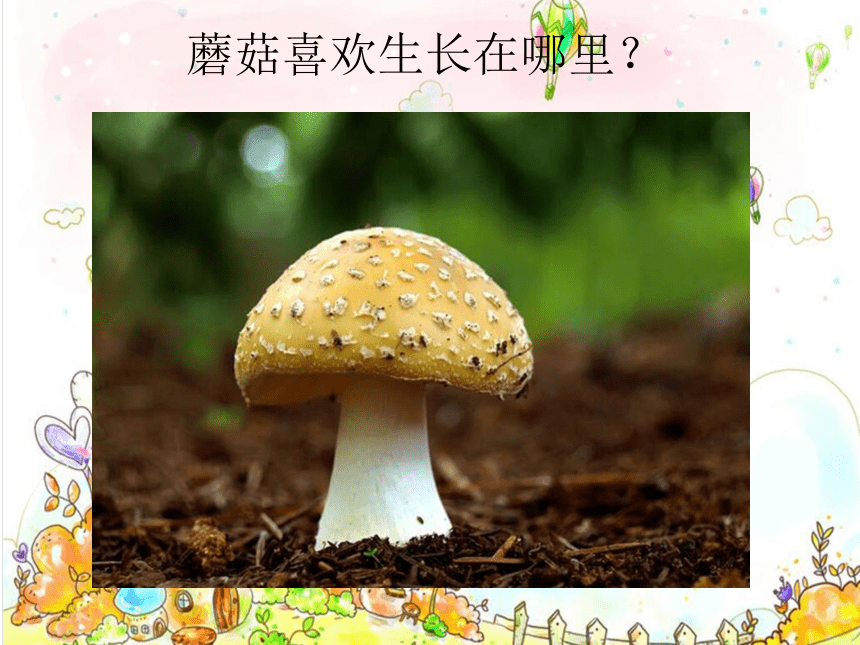 蘑菇幼儿园绘本ppt图片