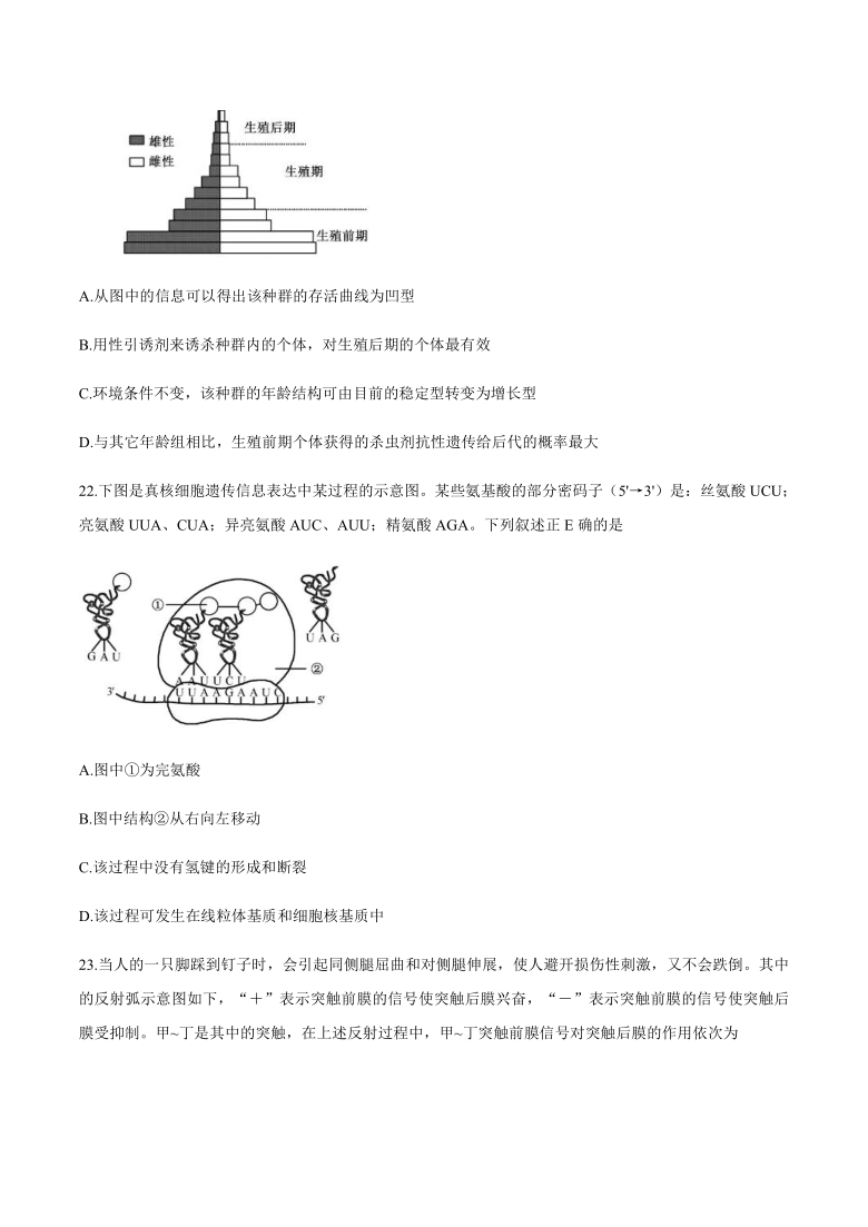 2021年1月浙江省普通高校招生选考生物试题（word版，含答案）