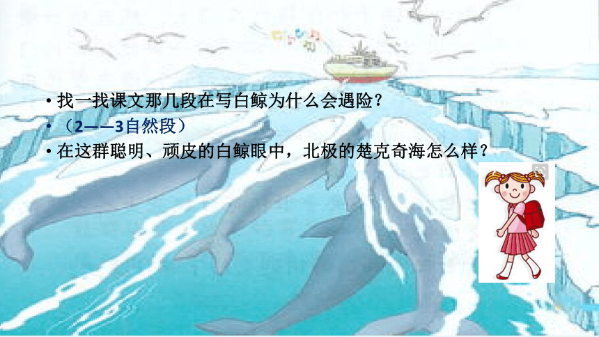 喜爱音乐的白鲸ppt