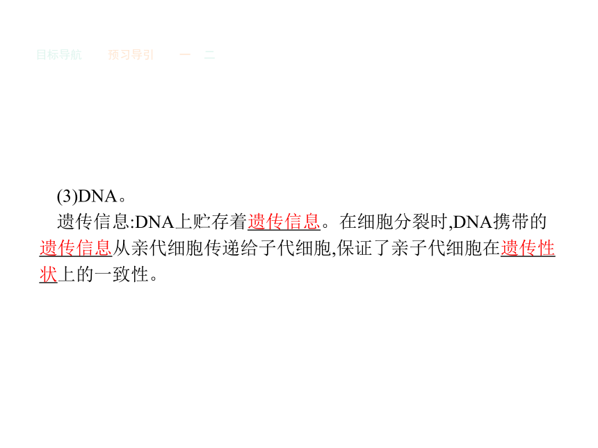 人教版生物必修1同步教学课件：3.3 细胞核——系统的控制中心