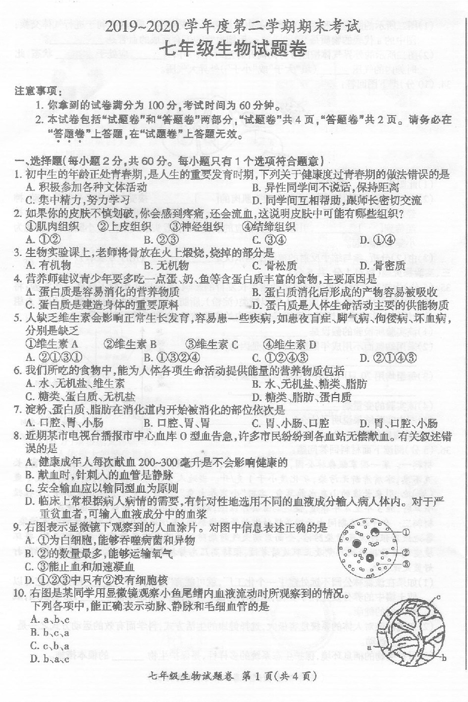安徽省滁州市来安县2019-2020学年七年级下学期期末考试生物试题（PDF版 含答案）