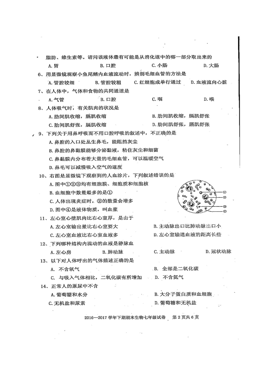 四川省雅安市2016-2017学年七年级下学期期末考试生物试题(图片版）