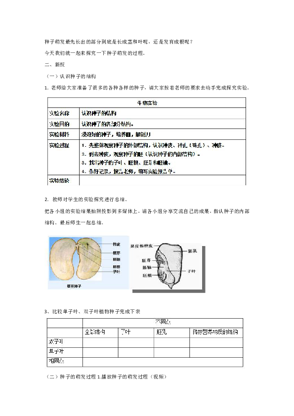 3.1.1 种子萌发的过程 教案