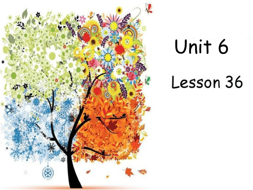 Unit6 There are four seasons in a year.（Lesson36) 课件（29张PPT）