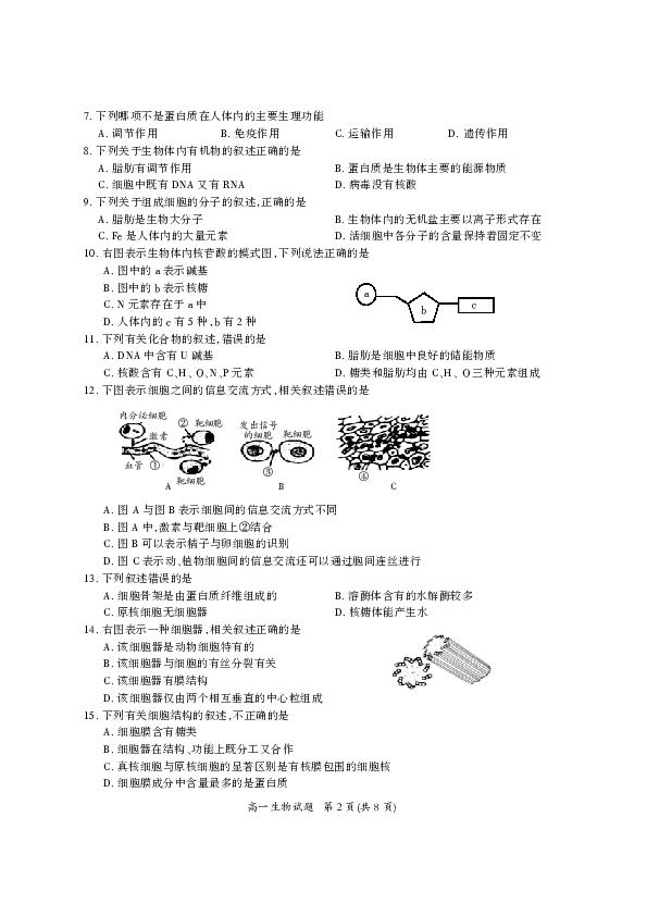 四川省广元市2018-2019学年高一上学期期末教学质量监测生物试卷（PDF版）