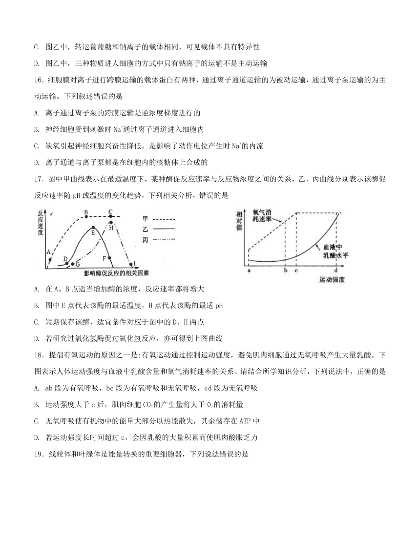 福建省晋江市季延中学2018届高三上学期第二阶段检测 生物