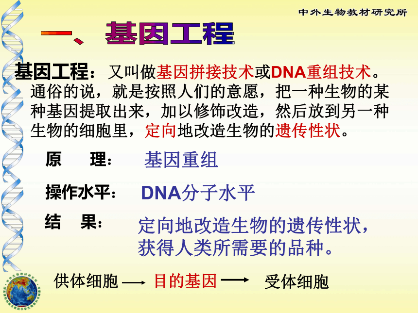 基因工程及其应用