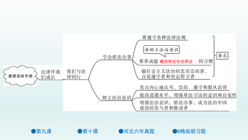 走进法治天地思维导图图片