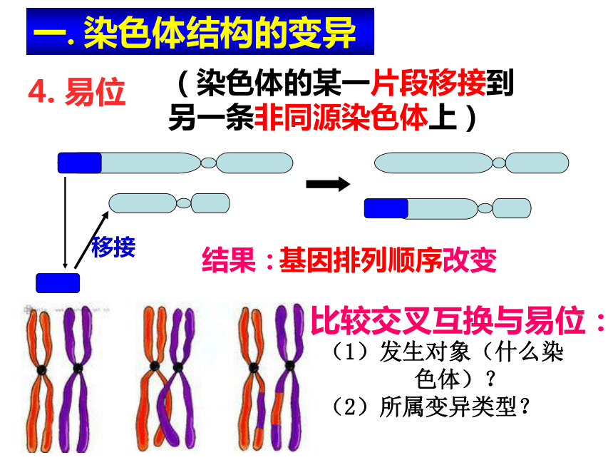 高中生物人教版必修二第五章第2节 染色体变异 课件 (53张PPT)