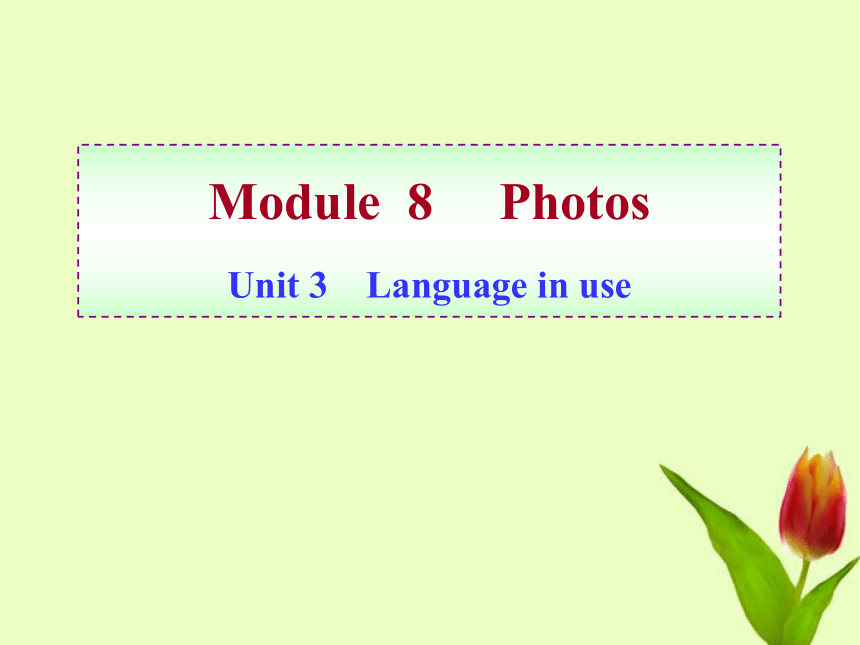 Module8 PhotosUnit3 Language inuse