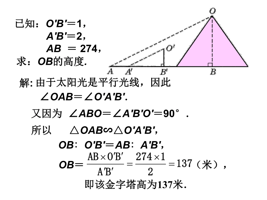 相似三角形的应用[下学期]