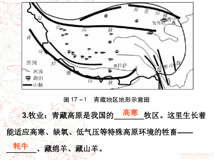 2018年中考地理总复习专题突破课件专题十七青藏地区中国在世界中共75