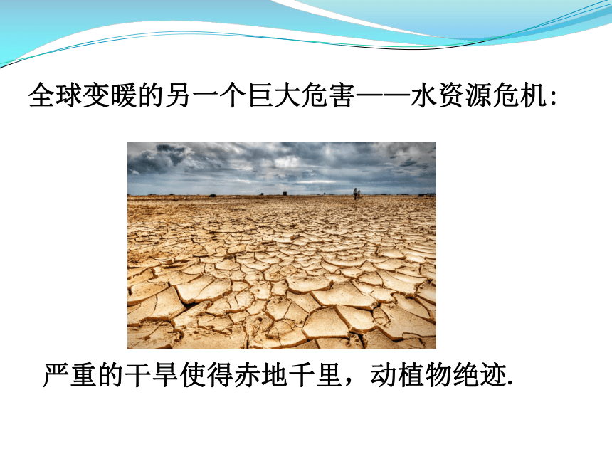12.5全球变暖与水资源危机课件（22张）
