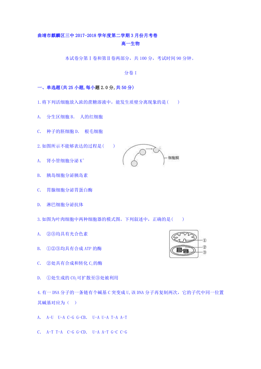 云南省曲靖市麒麟区三中2017-2018学年高一第二学期3月份月考卷生物试题