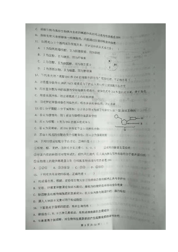 河北省保定市曲阳县第一高级中学2018-2019学年高二下学期第一次月考生物试题 扫描版含答案