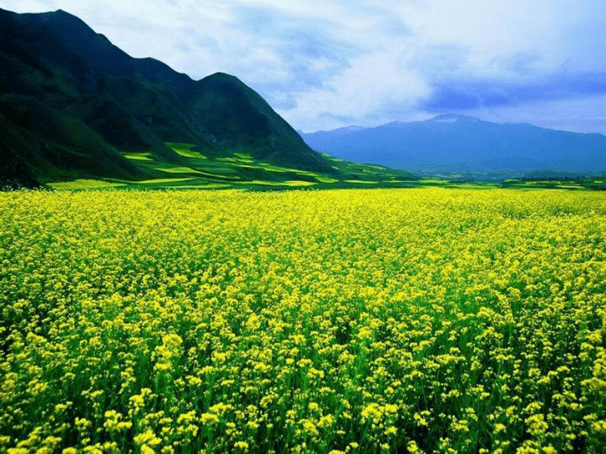 （演唱）我的家在日喀则课件